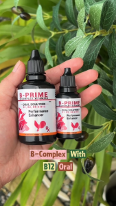Oral Drops B-Complex Vitamins for Chickens with B12 - Oral Solution - Performance Enhancer - For Appetite & Conditioning Support