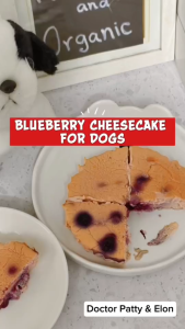 (2ขวด)โยเกิร์ตนมแพะบลูเบอร์รี่ออร์แกนิกเพื่อสุขภาพสัตว์เลี้ยง PETSMILE 250ml