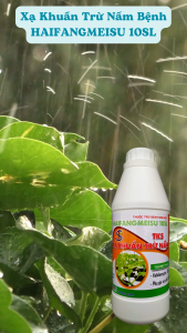 Xạ khuẩn VALIDAMYCIN 10SL phòng trừ và xử lý Bệnh Héo Xanh Thối Cổ Rễ khô vằn -  HAIFANGMEISU 900ml