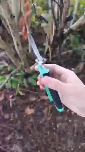 Gunting Dahan Bunga Ranting Gunting Taman Stek Alat Potong Dahan Garden Scissors Kuat
