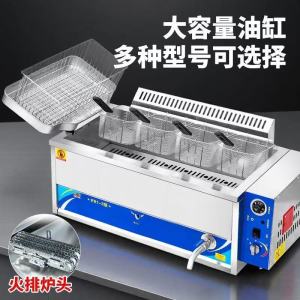 Commercial Gas Electric Constant Temperature Fryer Stall Chicken Frame Fried Snack Machine Oil Sticking Device 20L Capacity
