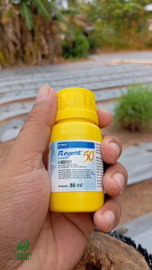 REGENT 50 SC 250 ML INSEKTISIDA ZPT Zat Pengatur Tumbuh Obat Cair Pembasmi Serangga Ulat