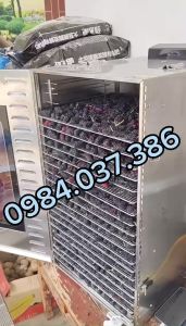 Hồng dẻo sấy khô - Máy sấy dẻo
