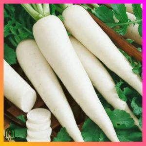 SeedsPLAZA™ - White Radish Labanos Seeds for Planting Vegetable Plants (50 Seed) Organic Vegetables Plant for Pots