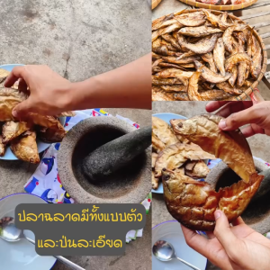 ปลาฉลาดแท้ ย่างแห้ง จากอยุธยา | สูตรโบราณ เนื้อแน่น หอม คัดพิเศษ