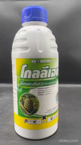 หัวเสือลูกโลก โกลลีเอท ขนาด 1 ลิตร กรดฟอสโฟนิก 40% SL ป้องกันและกำจัด รากเน่า โคนเน่า ไฟทอป ใช้ฝังเข็ม พ่นใบ ทาแผลใน ทุเรียน ไม้ผล ผัก ผลไม้ ทุกชนิด
