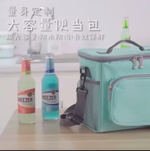 Insulated Lunch Bag Aesthetic Portable Lunch Box Thermal/Cooler Bag Aluminum Foil Insulation Carry Tote Food Case Beg