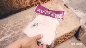 Jaring laba laba Untuk Dekorasi Hallowen