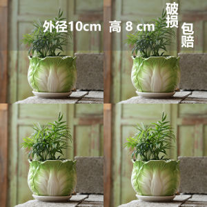 Succulent Flower Pot Ceramic with Tray Special Offer Big Sale Large Large Diameter Succulent Plant Green Plant Flowers Pachira Macrocarpa Pots