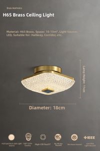 Modern Luxury Hall Ceiling Light