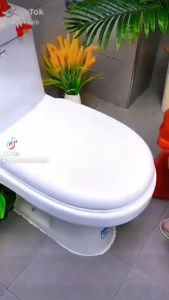 Lọ Tẩy Bồn Cầu Ma Thuật Chai Thả Bồn Cầu Diệt Khuẩn