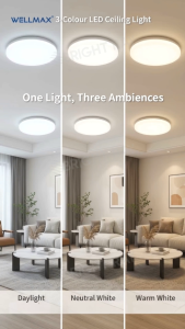WELLMAX 30W/45W Stella 3-Color LED Ceiling Light 13/15 Inch 3000K 4000K 6500K Wall Switch Surface Mount Lampu Siling