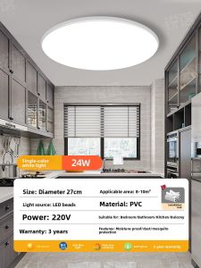 RUILUO | Smokeproof Ceiling Light