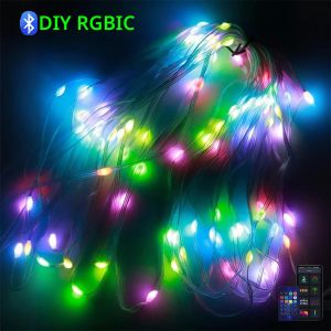 ไฟ LED แบบสาย Dreamcolor WS2812B RGBIC ควบคุมผ่านแอป Bluetooth สำหรับตกแต่งงานปาร์ตี้ เทศกาล ต้นไม้ งานแต่งงาน ด้วย USB
