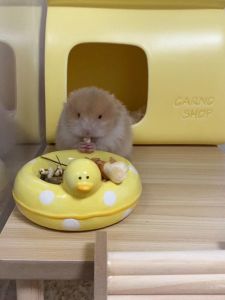 Yellow Duck Ceramic Hamster Food Bowl Bear Resistant Anti Flip Feeder Chinchilla Honey Pot Guinea Pig Pet Supplies