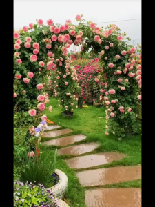 Arch Frame Wedding Rak Pasu Bunga Outdoor Garden Arch Flower Door Plant Stand Garden Climbing Plant Rack Floral Arch 花架