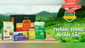 Trà Phú Hưng bcalivinghcm Giải Độc Thanh Nhiệt Thái Bình 1Kg Thảo quyết minh hoa hòe cam thảo sâm dứa dùng tốt