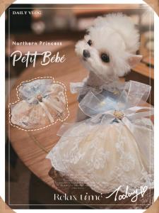 Queen of the North Maltese Pet Wedding Dress Princess Skirt Spring and Autumn Clothing Muppet Kitty Dog Traction Rope Traction