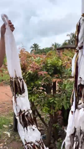 เปลนอนผู้ใหญ่ ผ้าริมที่นอนถักแน่น เปลญวน แขวนแล้วไม่ยืดย้วย จัดส่งด่วน