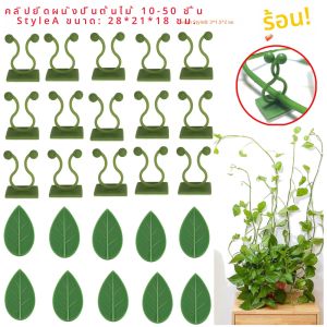 10-50pcs พืชที่มองไม่เห็น Climbing Wall คลิป FIXTURE หวาย VINE Bracket FIXED BUCKLE Leaf คลิปสําหรับ Garden Plant Traction Holde