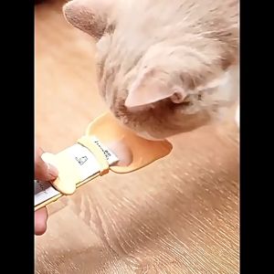 ช้อนบีบอาหาร ลายการ์ตูน เเมวเลียว แบบพกพา ใช้ซ้ําได้ สําหรับสัตว์เลี้ยง สุนัข แมว