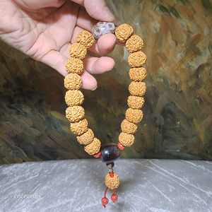 Gegegems Creation 15.5mm+ small species Rudraksha 6 Mukhi deep lines Panlong with Tibetan red spots Lightning 5 Eyes Da Luo Dzi & Cinnabar carved coins 18 beads mala handheld bracelet