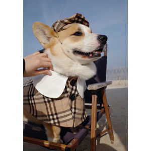 Retro British Style Pet Clothes Dog Coat Fashionable Shawl Photography Clothes Hat for Corgi Dog Spring Summer Autumn