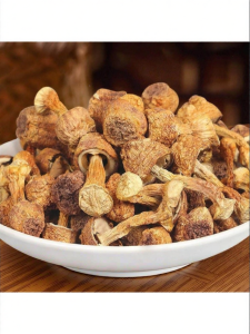 Sulfur-free Fresh Matsutake 500g