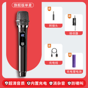 Wireless Microphone for Singing at Home And Outdoor Professional Speaker Universal KTV Sound System Handheld Family Special Use