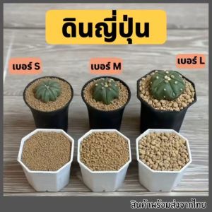 ดินญี่ปุ่น Akadama เกรดดี Top quality ราคาถูก