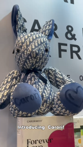 Carori Air Freshener Reed Diffuser 100ML (JY-138)