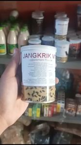 COD!!BARU!!PAKAN KHUSUS JANGKRIK UNTUK BURUNG MURAI KACER JANGKRIK VIT || Makanan Burung || BURUNG