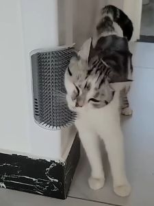 แปรงนวดขนแมว ที่นวดขนน้องแมว หวีขนแมว ออกแบบแยกชิ้นเพื่อทำความสะอาดง่าย สามารถติดที่มุมหรือขาโต๊ะง่ายๆ