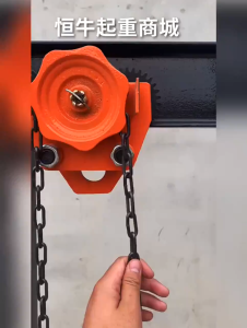 Micro Electric Hoist Sports Car 220V Monorail Overhead Hand Traveling Crane 0.5-2T Household Foxy Crane 0.5T I-Beam Steel Pulley Hand-pulled Sports Car I-beam Pulley Electric Hoist Mobile T-sleeve Type 0.5T1T2T Monorail Driving Manual