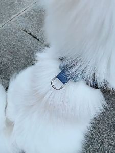 Dây dắt Chó Mèo tự động thu vào loại cao cấp hộp giấy màu cam và trắng - Love Pets Shop