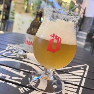 Orange Bomb White Bear: A Comprehensive Guide to the Nordic Style Beer Glass