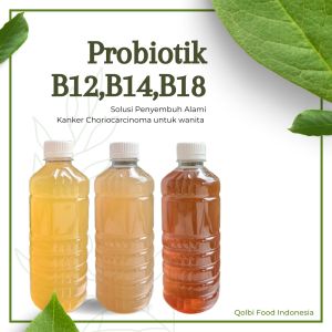 Paket Probiotik Alami Solusi mengatasi Kanker Choriocarcinoma untuk wanita