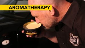 MEGUIARS Gold Class Paste Wax Carnauba Plus Premium Efek Daun Talas Deep Gloss Paint Protection