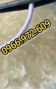 Máy con sò 250/750/1100w nội địa trungsủi oxy đáy bể nuôi tôm cáhút chân khôngbảo hành 12 tháng