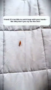 Portable Insects Catcher Push Type Insect Observer Contactless Bug Spider Catcher Clip Household Tool for Outdoor Exploration