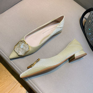 Comfortable Fashionable Pointed Toe Low Heel Shallow Mouth Metal Buckle Womens Single Shoes Versatile Stylish New Model