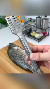 HOME + HOUND 1PC Stainless Steel Fish Scale Remover with Slotted Blade and Handle Hole for Easy Storage