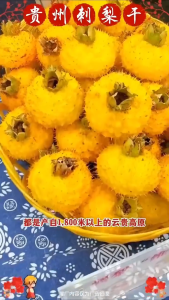 【Local Ship】Nico Food Dried Prickly Pear【贵州特产】刺梨干刺梨果脯水果干零食酸甜无添加新鲜袋装瓶装 Hot sale