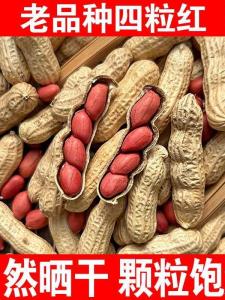 Red Skin Peanuts 5lbs Bag New Stock Farm Original Flavor Unshelled Peanuts Snacks/Nuts/House Specialties/Water Chestnuts
