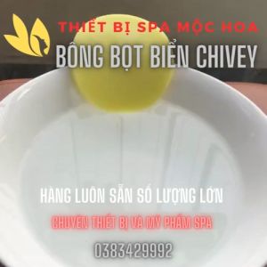 Bông nở tẩy trang Chivey 12 miếng Bông mút bọt biển siêu mềm rửa mặt Chính Hãng Nhật Bản