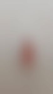 21ST CENTURY PROBIOTICS 30S 90s