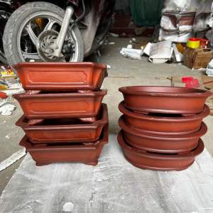 Combo 8 chậu đất nung trồng bonsailọt lòng 17 cm chậu gốm trồng cây chậu mini trồng bonsai chậubí sứ đất nung size lớn 17 cm chậu trồng ban công chau trong cay khuôn đúc cảnh hộp bộ kkv gà rutin tiểu
