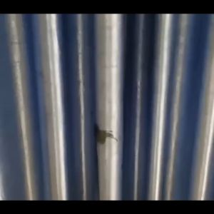 โฟมซักแห้งเบาะ 520ml น้ำยา สะอาดโซฟา ล้อสมุก สำหรับผ้า แถม ห้องนอน ทำความสะอาดเบาะ สำหรับผู้ชายและหญิง น้ำตาล