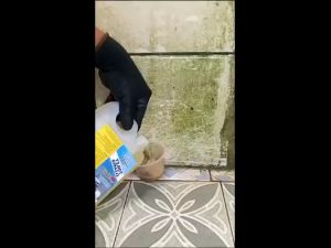 BUZZCLEAN TOILET CLEANER Pembersih Kerak Kamar Mandi CAIRAN WARNA KUNING YELLOW untuk Lantai Dinding WC Porselen Wastafel Kerak Kotoran Lumut Membandel di Kaca Aquarium Peralatan Dapur