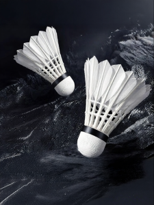 JIFANPAUL | Professional Durable Badminton Balls 6 Pack